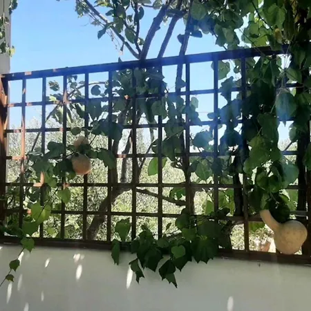 Nefeli Apartment *