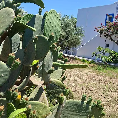 Nefeli Apartment Kefalos (Kos)