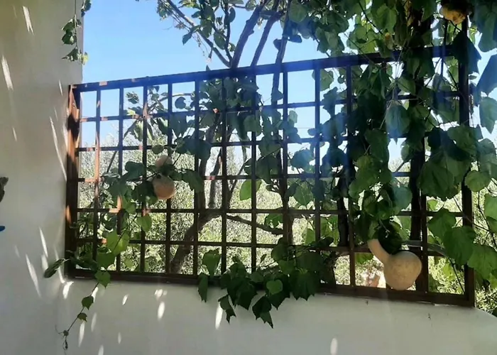 Nefeli Apartamento *